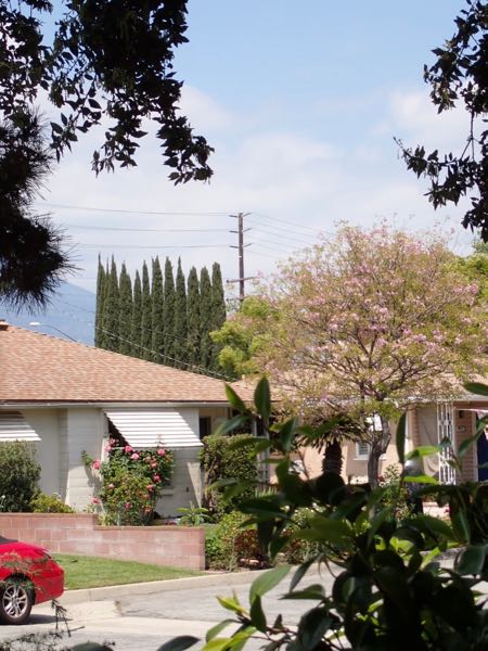 <strong>Same utility pole, no telescope</strong>